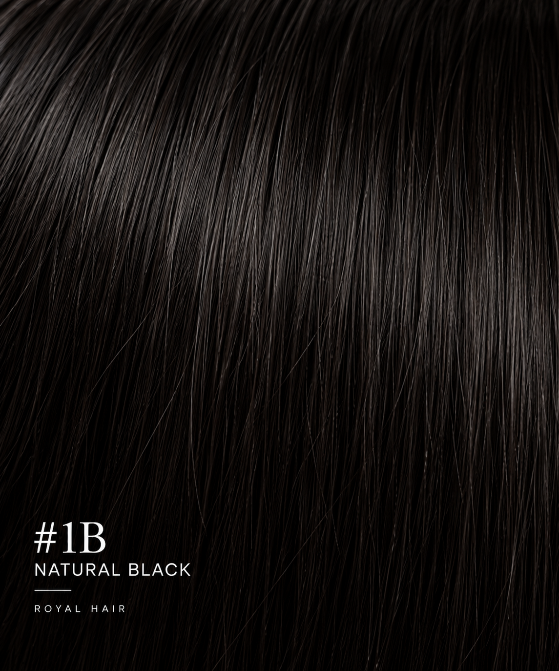 #1B Natural Black