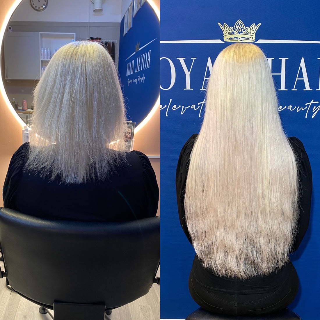 Platina Blond-fylde
